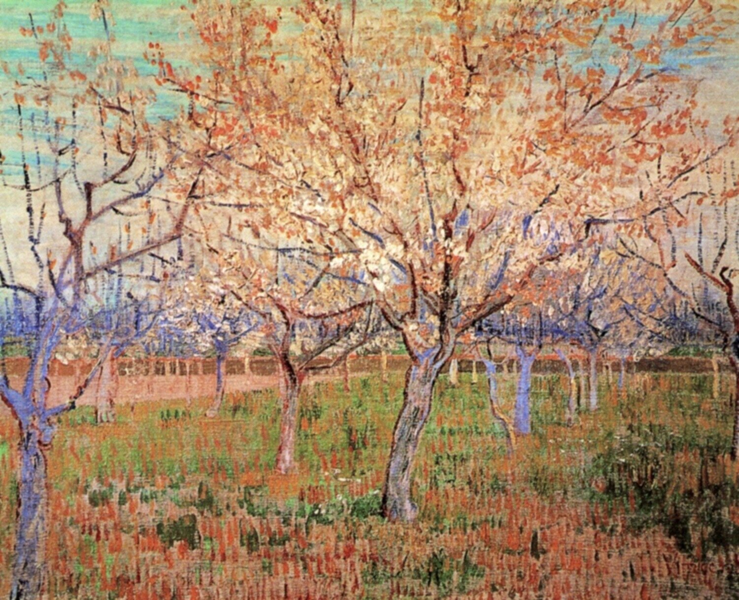 Винсент Ван Гог Цветущий сад с абрикосовым деревом
