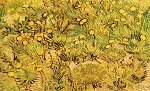 Винсент Виллем Ван Гог Арль картины, Поле с желтыми цветами ван-гог.рф