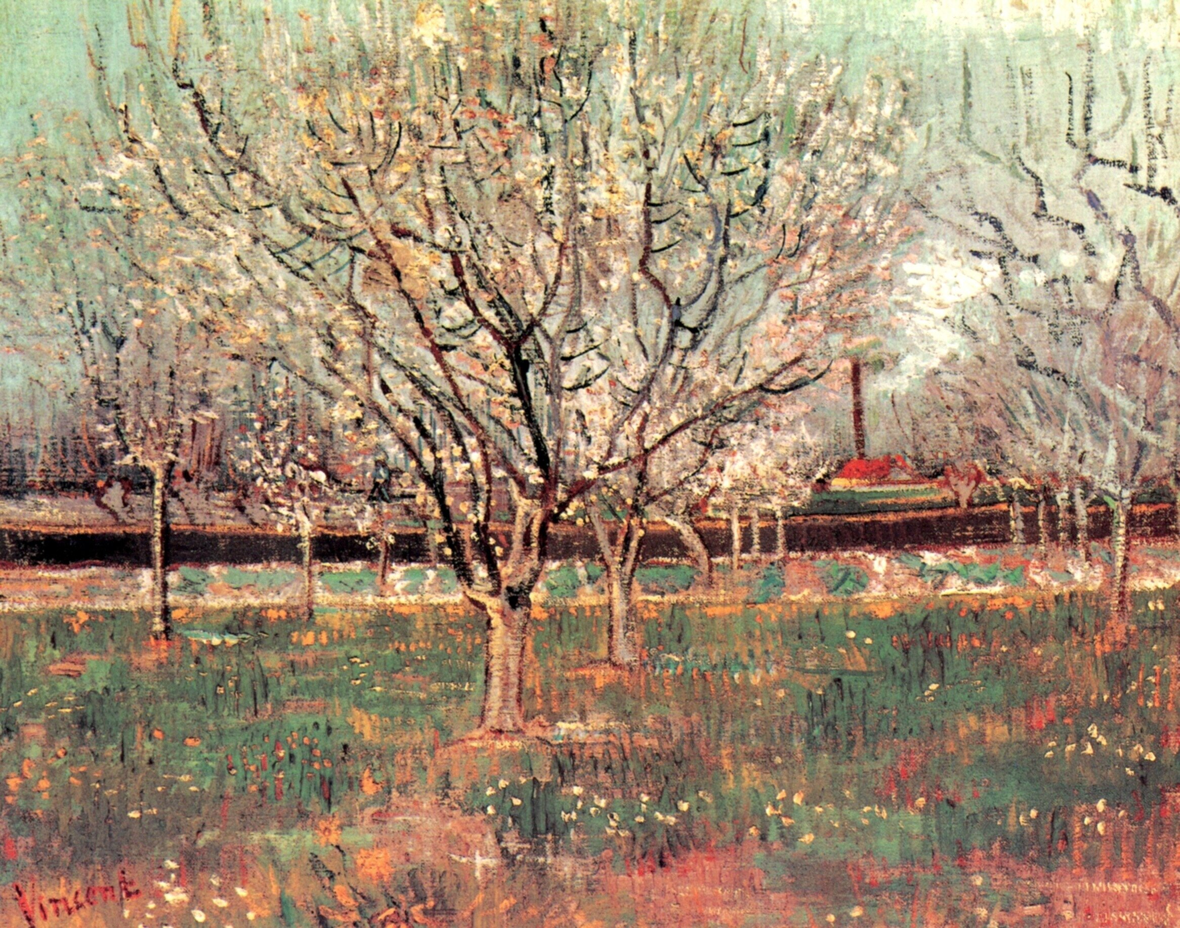 Винсент Ван Гог Фруктовый сад в цвету (сливы) 