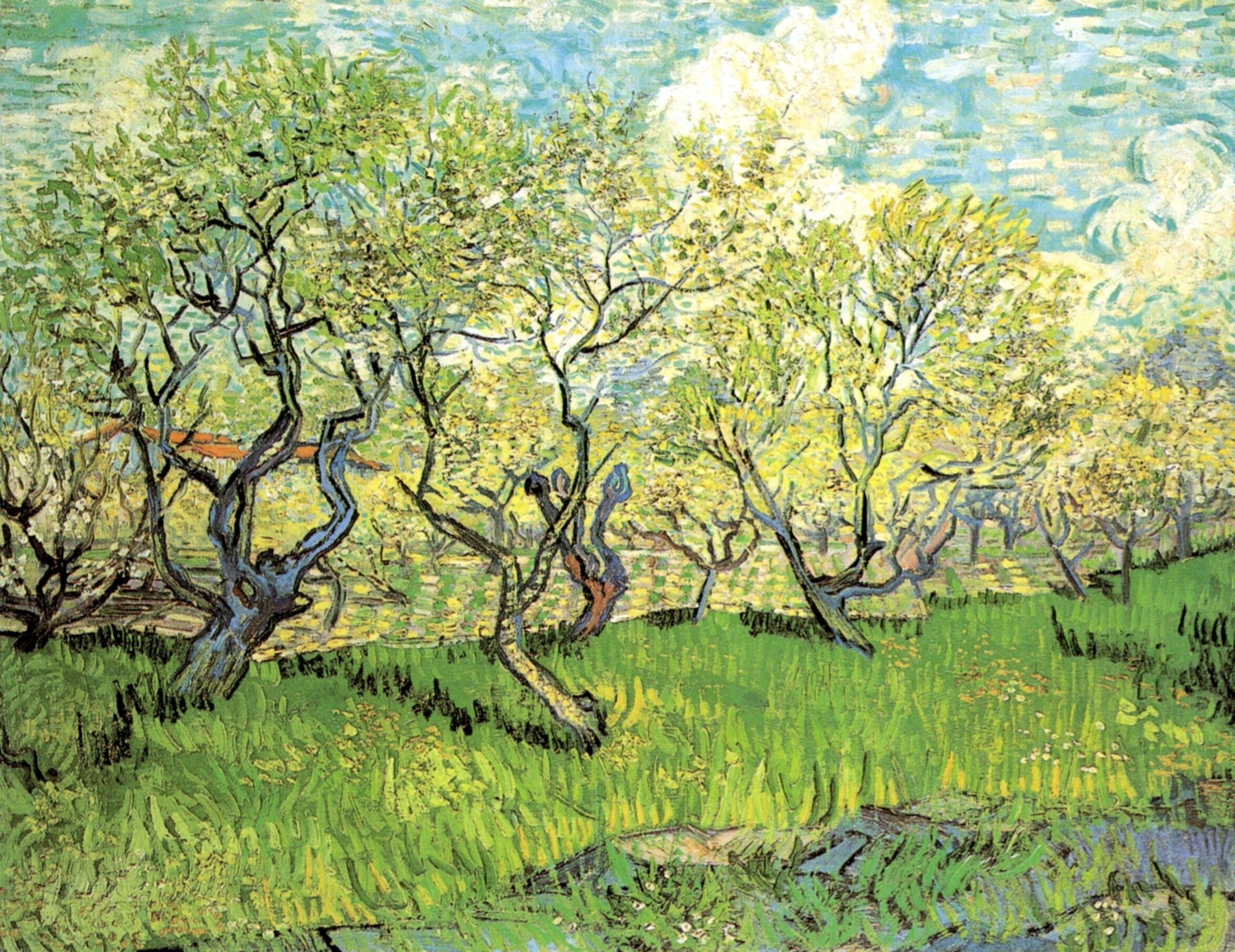 Винсент Ван Гог Фруктовый сад в цвету 