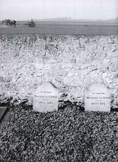  могила Винсента Ван Гога и брата Тео 1952г